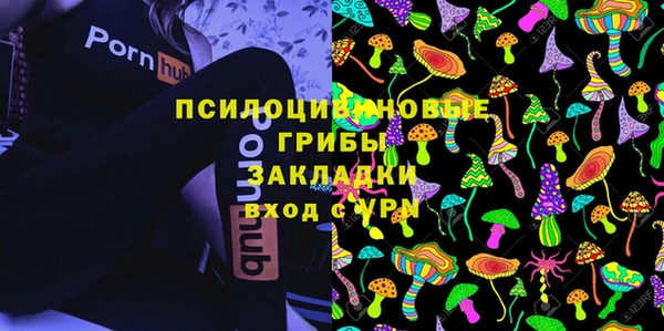 дурь Нея