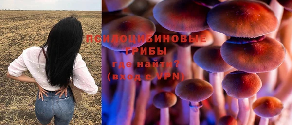дурь Нея